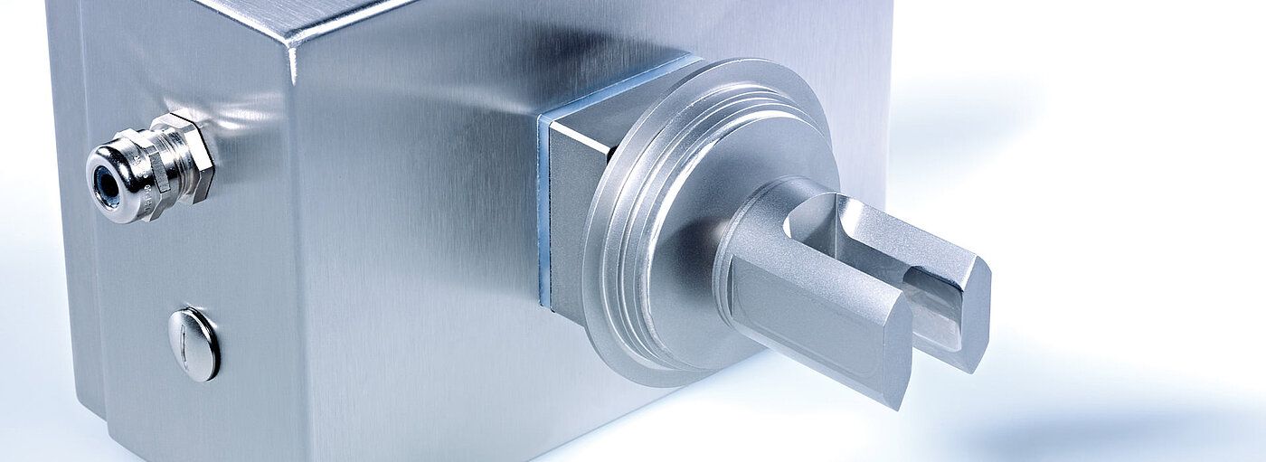 Tauchsensor Varivent