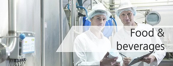Application and process monitoring with LiquiSonic® in beverage production and food technology. 