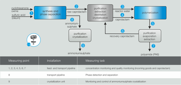 Application example caprolactam production Liquisonic