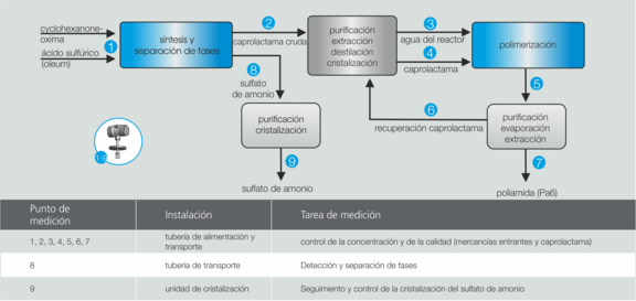 Application example caprolactam production Liquisonic