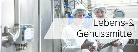 Anwendung und Prozessüberwachung mit LiquiSonic® in der Getränkeherstellung und Lebensmitteltechnik 