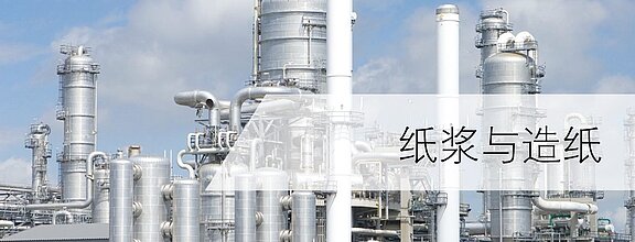 在纸浆和造纸工业中使用LiquiSonic®测量系统进行过程监控和优化