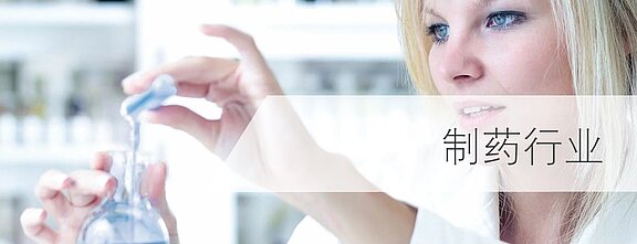 在制药业用LiquiSonic®系统监测医药产品