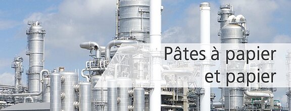 Surveillance et optimisation des processus avec le système de mesure LiquiSonic® dans l'industrie du papier et de la cellulose 