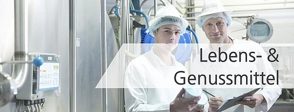 Anwendung und Prozessüberwachung mit LiquiSonic® in der Getränkeherstellung und Lebensmitteltechnik 