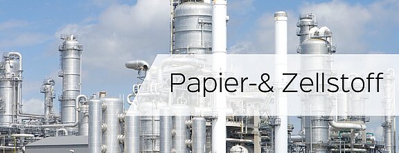 Prozessüberwachung und Optimierung mit dem LiquiSonic® Messsystem in der Papier- und Zellstoffindustrie 