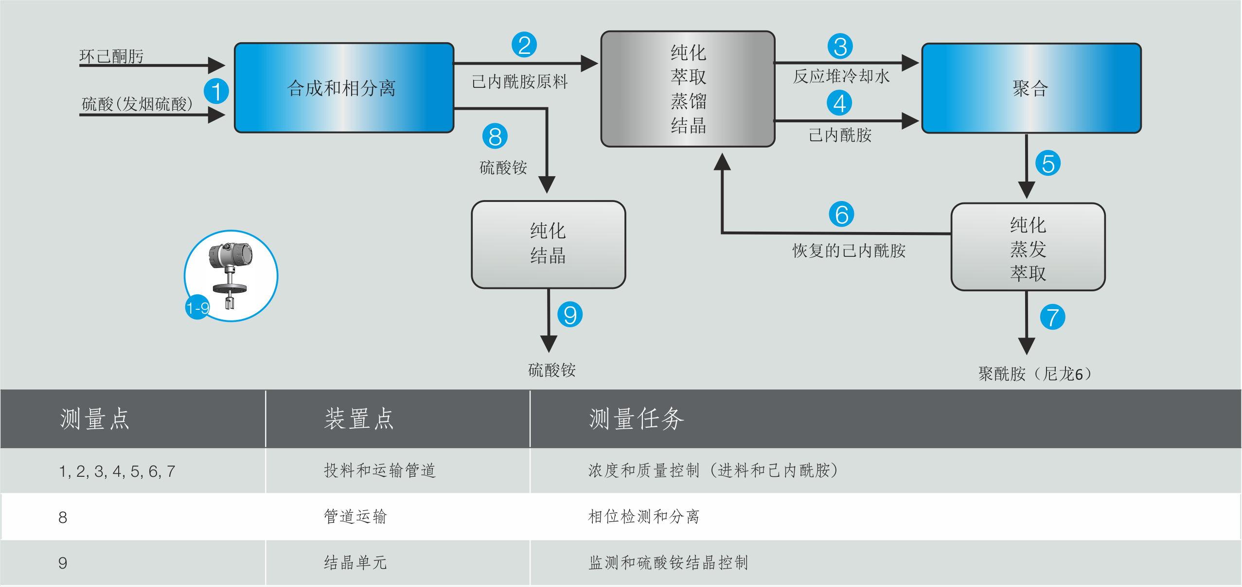 己内酰胺生产应用示例 Liquisonic
