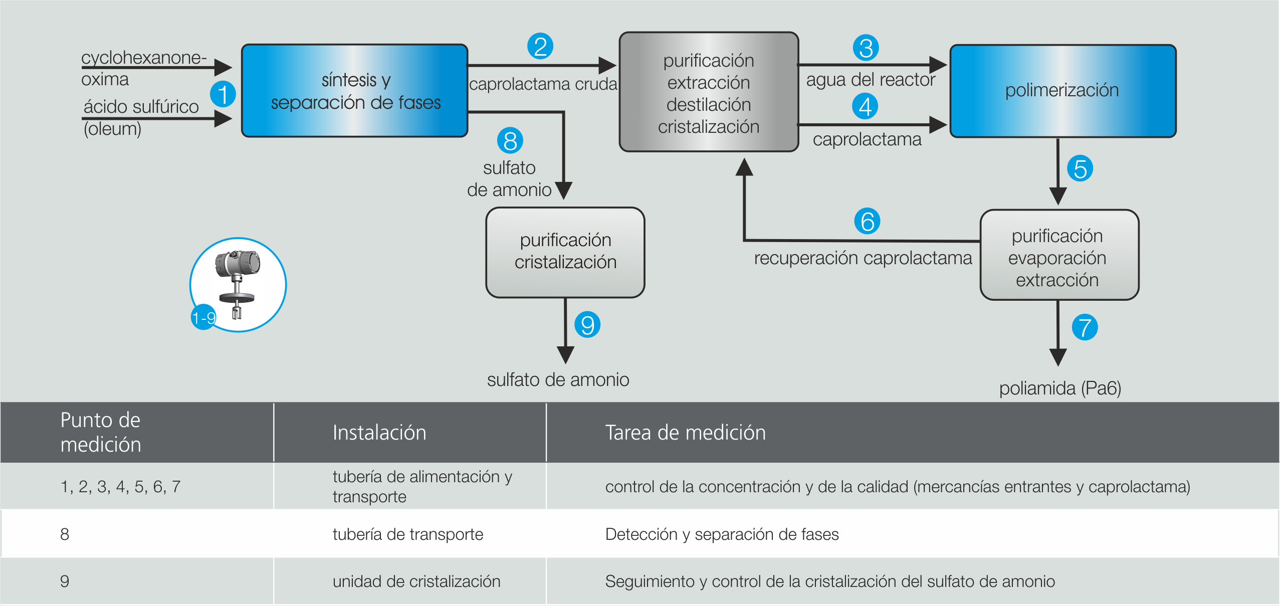 Ejemplo de aplicación Caprolactam Production Liquisonic