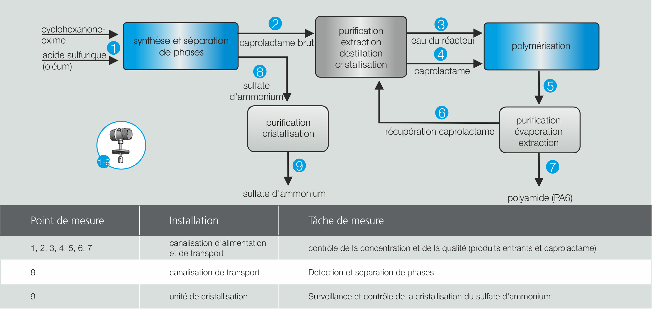 Exemple d'application Caprolactam Production Liquisonic